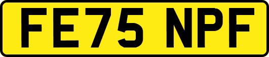 FE75NPF