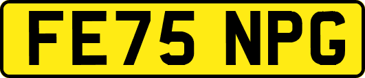 FE75NPG