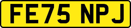 FE75NPJ