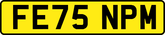 FE75NPM
