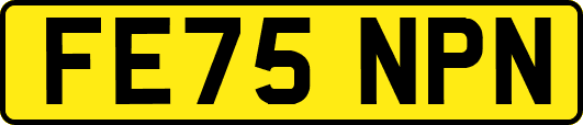 FE75NPN
