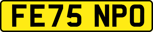 FE75NPO