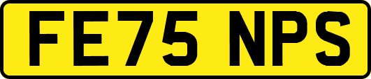 FE75NPS
