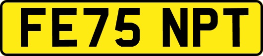 FE75NPT