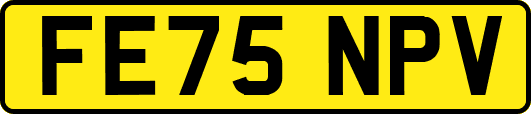 FE75NPV