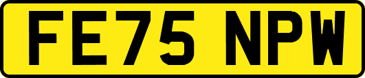 FE75NPW