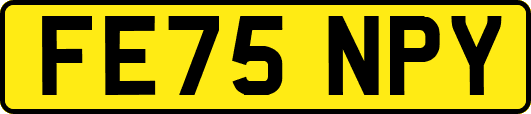 FE75NPY