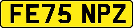 FE75NPZ