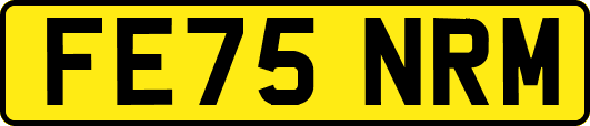 FE75NRM