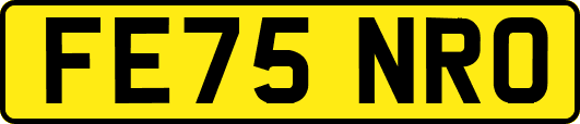 FE75NRO