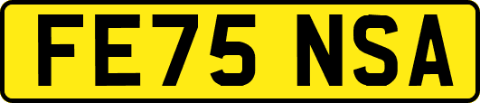 FE75NSA