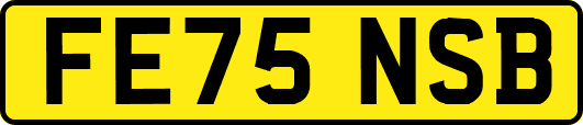 FE75NSB