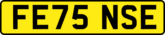 FE75NSE