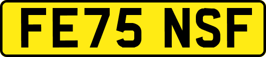 FE75NSF