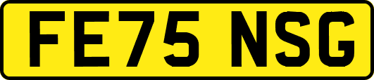 FE75NSG
