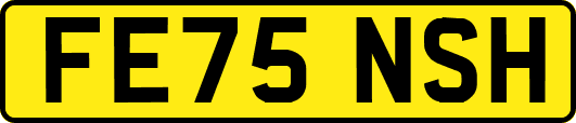 FE75NSH