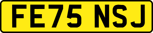 FE75NSJ