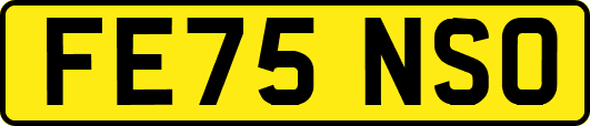 FE75NSO