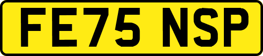 FE75NSP