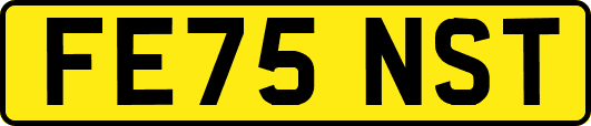 FE75NST
