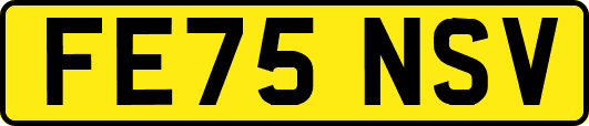 FE75NSV