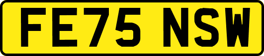 FE75NSW