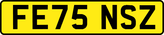 FE75NSZ