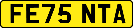 FE75NTA