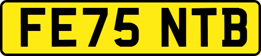 FE75NTB