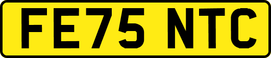FE75NTC
