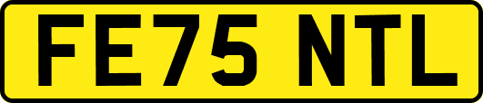 FE75NTL