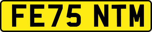 FE75NTM