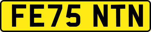 FE75NTN
