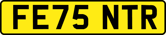 FE75NTR