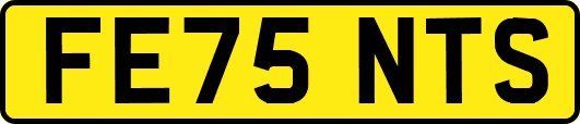 FE75NTS