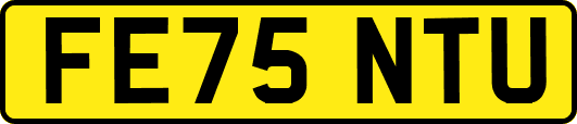 FE75NTU