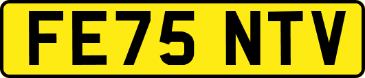 FE75NTV