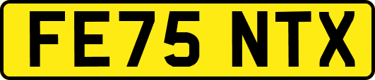 FE75NTX