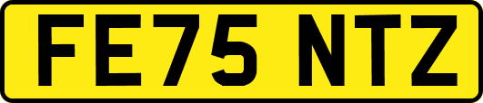 FE75NTZ