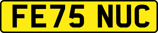FE75NUC