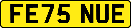 FE75NUE