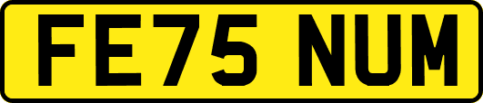 FE75NUM