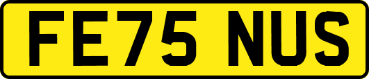 FE75NUS