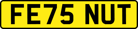 FE75NUT