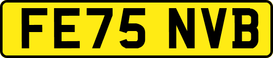 FE75NVB