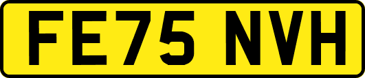 FE75NVH