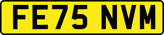 FE75NVM