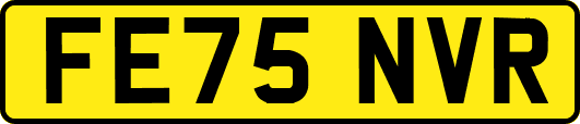 FE75NVR