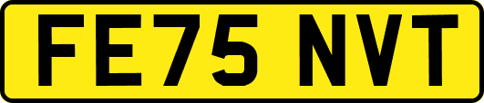 FE75NVT