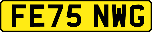 FE75NWG